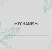 Mechanism