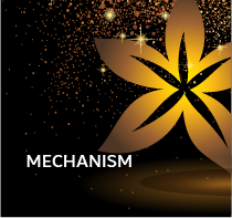 Mechanism