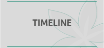 Timeline